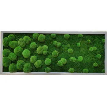 Obraz Mechdekor Mechový obraz plochý a kopčekový mech světle zelený – 136x56cm šedý tenký rám Rám: Dřevěný, Barva Rámu: Tmavý dub