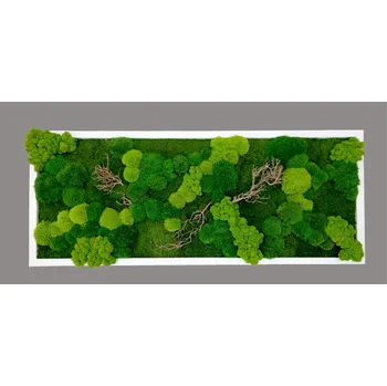 Obraz Mechdekor Mechový obraz mix různých mechů - 136x56cm tenký bílý dřevěný rám s dřevinami Rám: Dřevěný, Barva Rámu: Černá