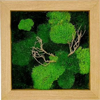 Obraz Mechdekor Mechový obraz mix mechů s dřevinami 30x30cm - dubový rám
