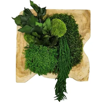 Mechdekor Teaková dekorace s mechem a rostlinami 40x40cm