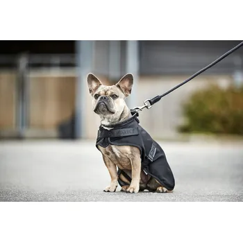 Pelíšek pro psa Catago Deka pro psy Hybrid CATAGO, černá 60 cm