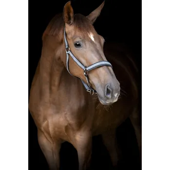 Catago Ohlávka CATAGO, stone blue EXTRA FULL