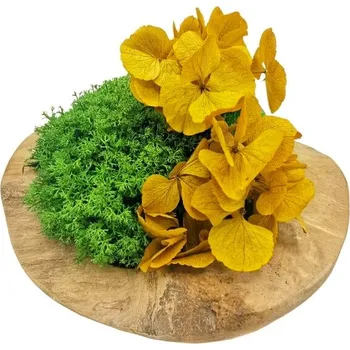 Mechdekor Teaková miska s kadeřavým mechem a rostlinou 20cm