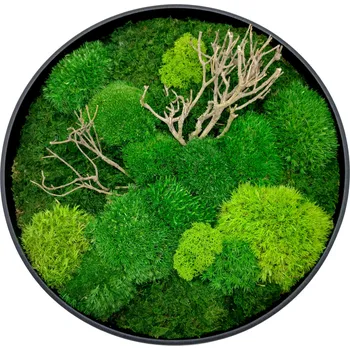 Obraz Mechdekor Mechový obraz 55cm kulatý s mixem mechů a dřevinami v kovovém rámu černé barvy