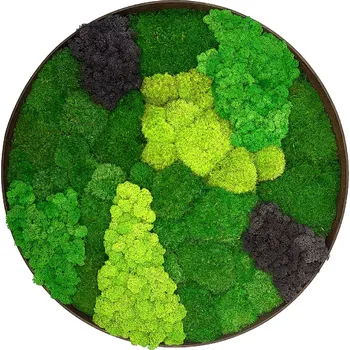 Obraz Mechdekor Mechový obraz kulatý dřevěný palisander mix mechů průměr 55 cm