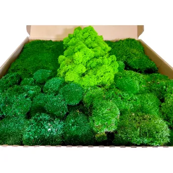 Mechdekor Mix mechů - volně v kartonu - plochý, kopečkový a sobí mech