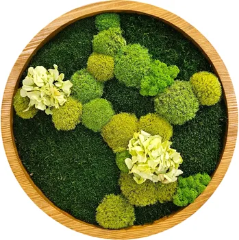 Obraz Mechdekor Mechový obraz kulatý v dubovém rámu, s mixem mechů a stabilizovanou rostlinou, 50 cm