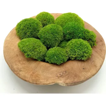 umělá květina Mechdekor Kopečkový mech premium - volně v kartonu - světle zelený ball moss Množství: 0,25 m2