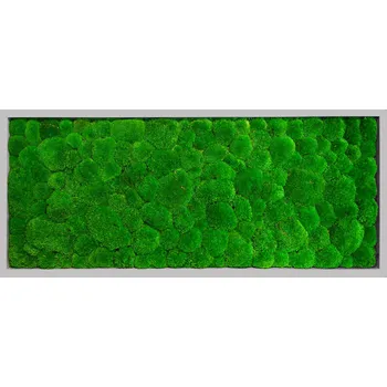 Obraz Mechdekor Mechový obraz Kopečkový mech světle zelený – 136x56cm šedý tenký dřevěný rám Rám: Dřevěný, Barva Rámu: Bílá