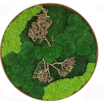 Obraz Mechdekor Mechový obraz kulatý dřevěný mix mechů s bonsai Ø 55 cm