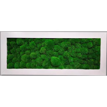 Obraz Mechdekor Obraz z masivu 136x56cm bílý široký dřevěný rám – Kopečkový mech Rám: Dřevěný, Barva Rámu: Černá