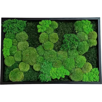 Obraz Mechdekor Mechový obraz 60x40cm mix v dřevěném úzkém rámu černé barvy