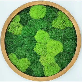 Obraz Mechdekor Mechový obraz kulatý v dubovém rámu, s mixem kopečkových mechů, 40 cm