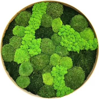 Obraz Mechdekor Mechový obraz kulatý v dubovém rámu, s mixem mechů 55 cm