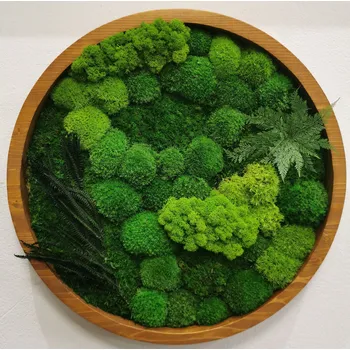 Obraz Mechdekor Mechový obraz kulatý v dubovém rámu, s mixem mechů a stabilizovanými rostlinami, 50 cm