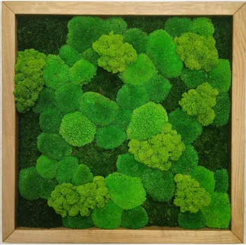 Obraz Mechdekor Mechový obraz 56x56 cm dubový tenký rám s mixem mechů