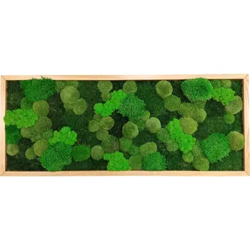 Obraz Mechdekor Mechový obraz mix různých mechů - 136x56cm tenký dubový rám Rám: Dřevěný, Barva Rámu: Šedá