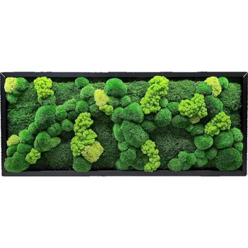 Obraz Mechdekor mechový obraz Mix mechů multigreen – 136x56cm černý dřevěný tenký rám Rám: Dřevěný, Barva Rámu: Bílá
