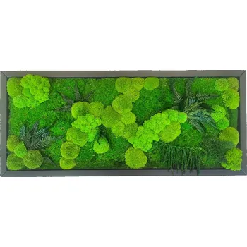 Obraz Mechdekor Mechový obraz Mix mechů a rostlin– 106x46cm černý dřevěný tenký rám