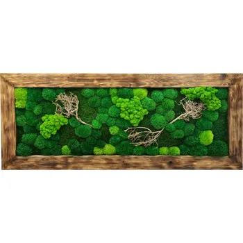 Obraz Mechdekor Obraz z masivu 136x56cm (drátkované dřevo) – Mix mechů s dřevinami