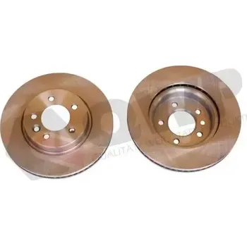 Brzdový kotouč QWP Brzdový kotouč - 317 mm QWP WBD1003