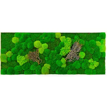 Obraz Mechdekor Mechový obraz Mix mechů a dřevin – 136x56 cm bílý kovový rám Rám: Dřevěný, Barva Rámu: Černá