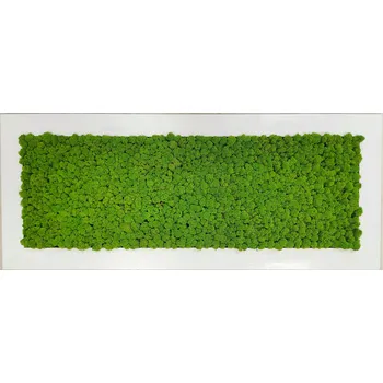 Obraz Mechdekor Mechový obraz z masivu 136x56cm široký bílý dřevěný rám – Sobí mech (Spring Green) Rám: Dřevěný, Barva Rámu: Černá