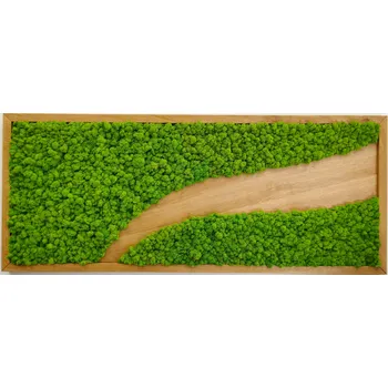 Obraz Mechdekor Mechový obraz dubový rám s dekorací 136x56cm Barva Rámu: Černá