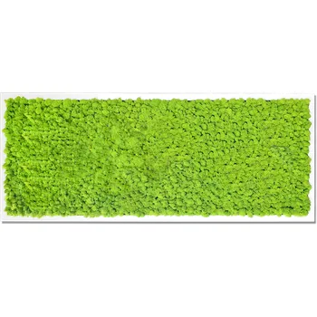 Obraz Mechdekor Mechový obraz Finský Sobí mech světle zelený - 136x56cm tenký bílý rám Rám: Dřevěný, Barva Rámu: Černá