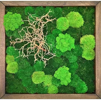 Obraz Mechdekor Mechový obraz 56x56cm mix mechů s dřevinami ve tmavém dubovém rámu