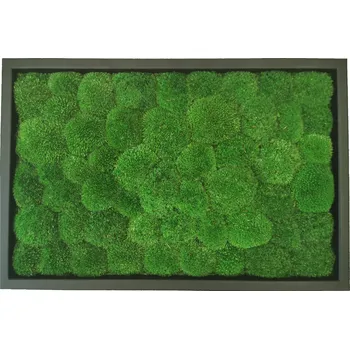 Obraz Mechdekor Obraz 60x40cm Kopečkový mech v kovovém úzkém rámu černé barvy Rám: Kovový