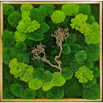 Obraz Mechdekor Mechový obraz 56x56 cm mix různých mechů s dřevinou, tenký dubový rám