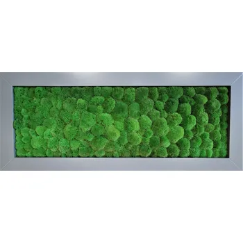 Obraz Mechdekor Mechový obraz z masivu 136x56cm šedý široký dřevěný rám – Kopečkový mech Rám: Dřevěný, Barva Rámu: Bílá