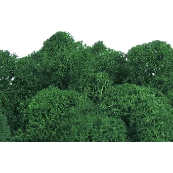 Hnojivo Mechdekor Polarmoss Finský Sobí Mech - Leaf Green Váha: 1Kg