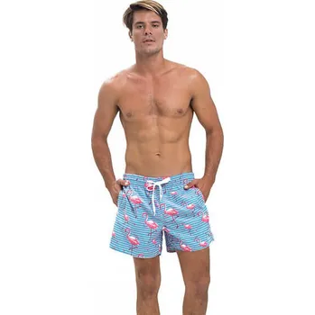 Pánské plavky Pánské plavky 69SLAM FLOCKS ELASTIC (SEBFCK-PM) L SEBFCK-PM Možnost vrácení zboží ZDARMA do 120 dnů!