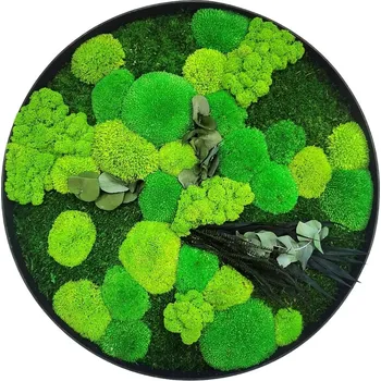 Obraz Mechdekor Mechový obraz kulatý v rámu palisandr, s mixem mechů a stabilizovanými rostlinami, 55 cm