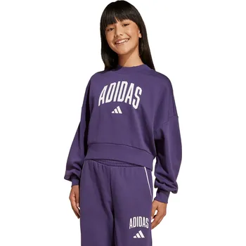 Chlapecká mikina Dětská mikina adidas fialová barva, s potiskem, JV7379 45X, vel. 170