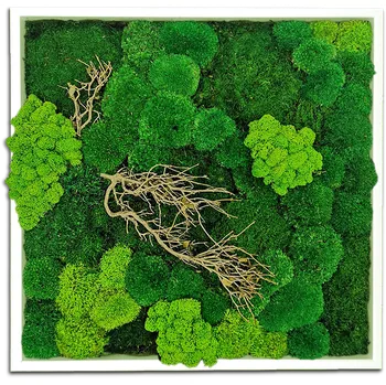 Obraz Mechdekor Mechový obraz 56x56 cm mix různých mechů s dřevinami, kovový bílý rám