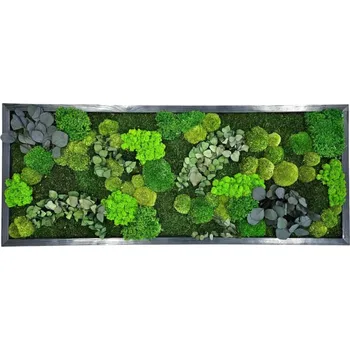Obraz Mechdekor Mechový obraz 136x56cm v dřevěném antracitovém rámu mix + rostliny