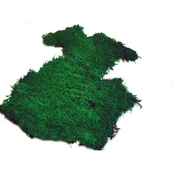 umělá květina Mechdekor Plochý mech - volně v kartonu (cca 1m2) - tmavě zelený flat moss