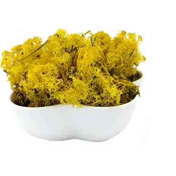 Mechdekor Norský Sobí Mech - žlutý Váha: 250g