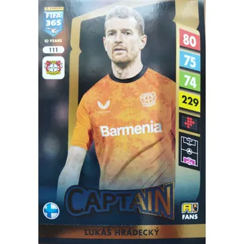 Karetní hra Lukáš Hrádecký