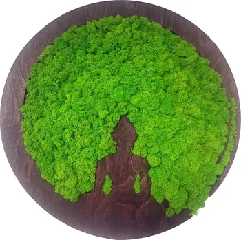 Obraz Mechdekor Kulatý obraz Budha ve tmavém dřevěném rámu, v dekoru eben se sobím mechem, 47 cm