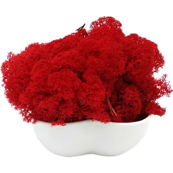 Mechdekor Norský Sobí Mech - červená Váha: 1Kg