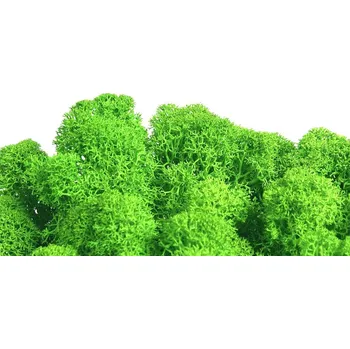 umělá květina Mechdekor Polarmoss Finský Sobí Mech - jarní zelená Váha: 5Kg