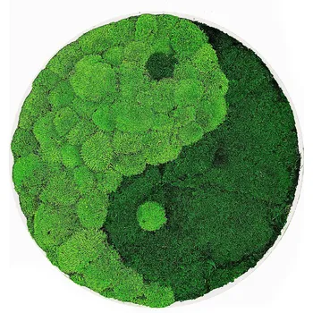 Obraz Mechdekor Mechový obraz kulatý Jin Jang v kovovém rámu s kopečkovým mechem