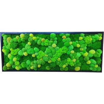 Obraz Mechový obraz černý dřevěný rám 200x80cm mix mechů