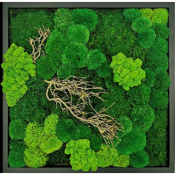 Obraz Mechdekor Mechový obraz 56x56 cm mix různých mechů s dřevinami, kovový antracitový rám