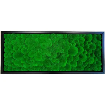 Obraz Mechdekor Mechový obraz Kopečkový mech světle zelený – 136x56cm černý dřevěný tenký rám