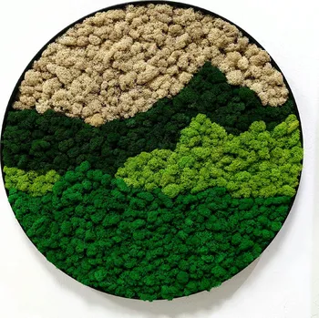 Obraz Mechdekor Mechový obraz kovový rám průměr 55cm - mechové hory